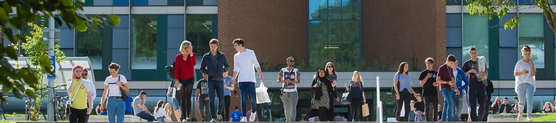 Sustainable Finance and Accounting (with a professional placement year) MSc